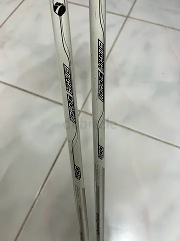 Hiking Pole 2 pcs (quenchua)