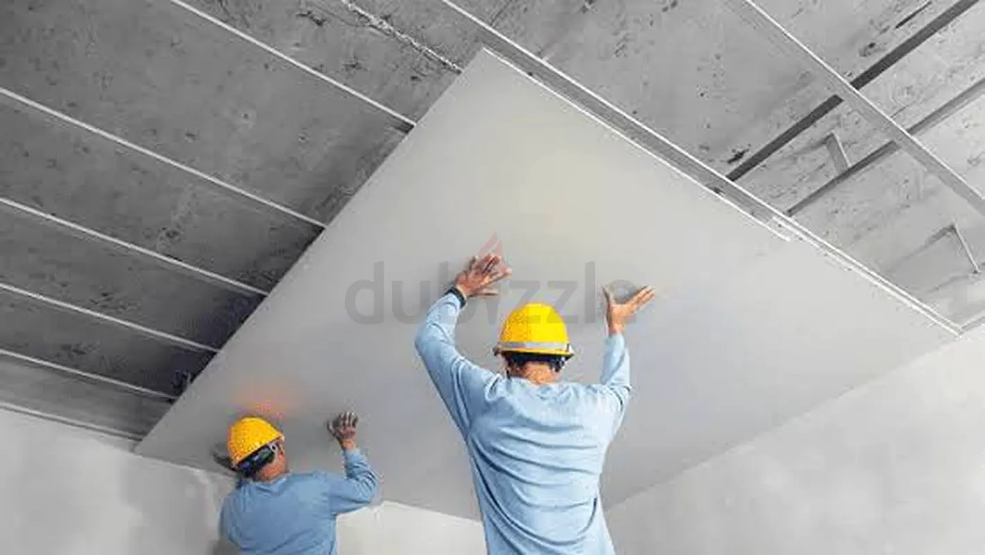 DPV_View_Image_1