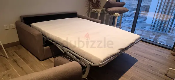 Natuzzi Italian Sofa bed