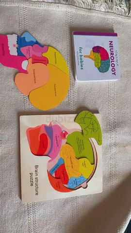 Set of 3 Baby Educational Brain Structure Puzzles (Wooden & Card Deck)