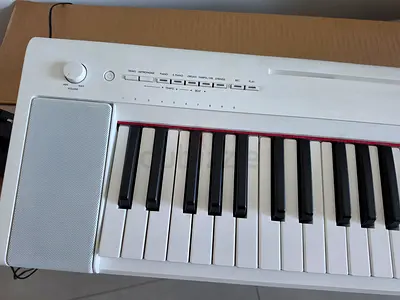 Piano Piaggero NP15