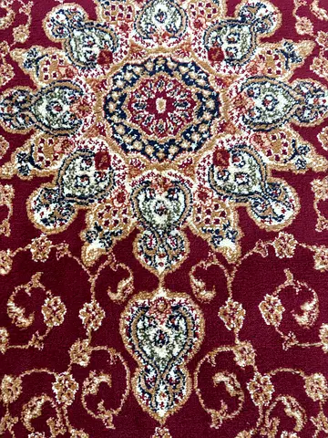 Used Persian-style red area rug in good condition