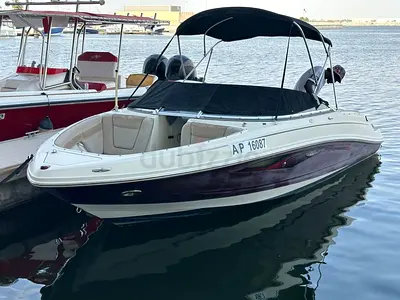 🚤 Sea Ray 210 Bowrider 2009 | MerCruiser 5.0L V8 | Excellent Condition