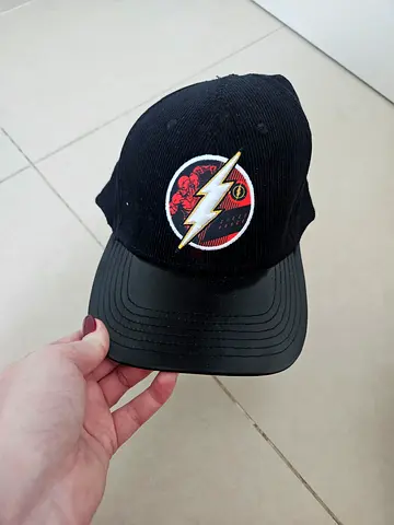 Warner brothers cap