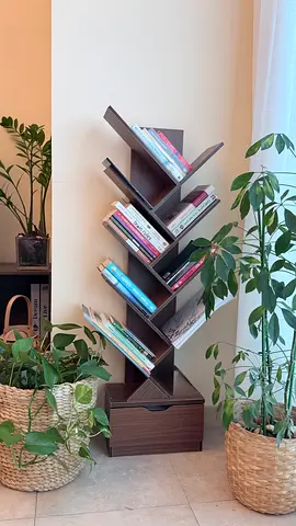 Modern Tree Shaped Bookshelf - Dark Wood - Storage Drawer