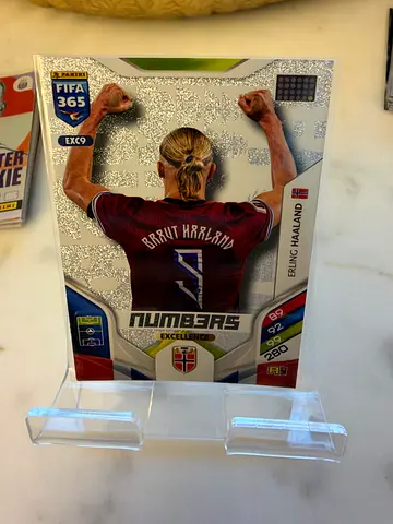 FIFA 365 Collectible Football Sticker/Card - Haaland (Shiny Variant)