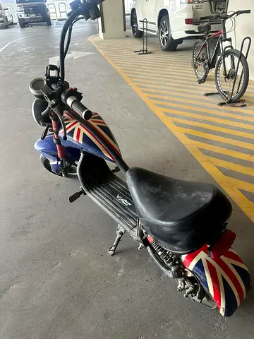 harley rohan wings