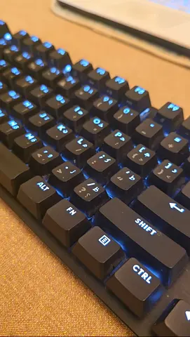 Logitech G413 TKL SE mechanical  + G203 lightysnc RGB