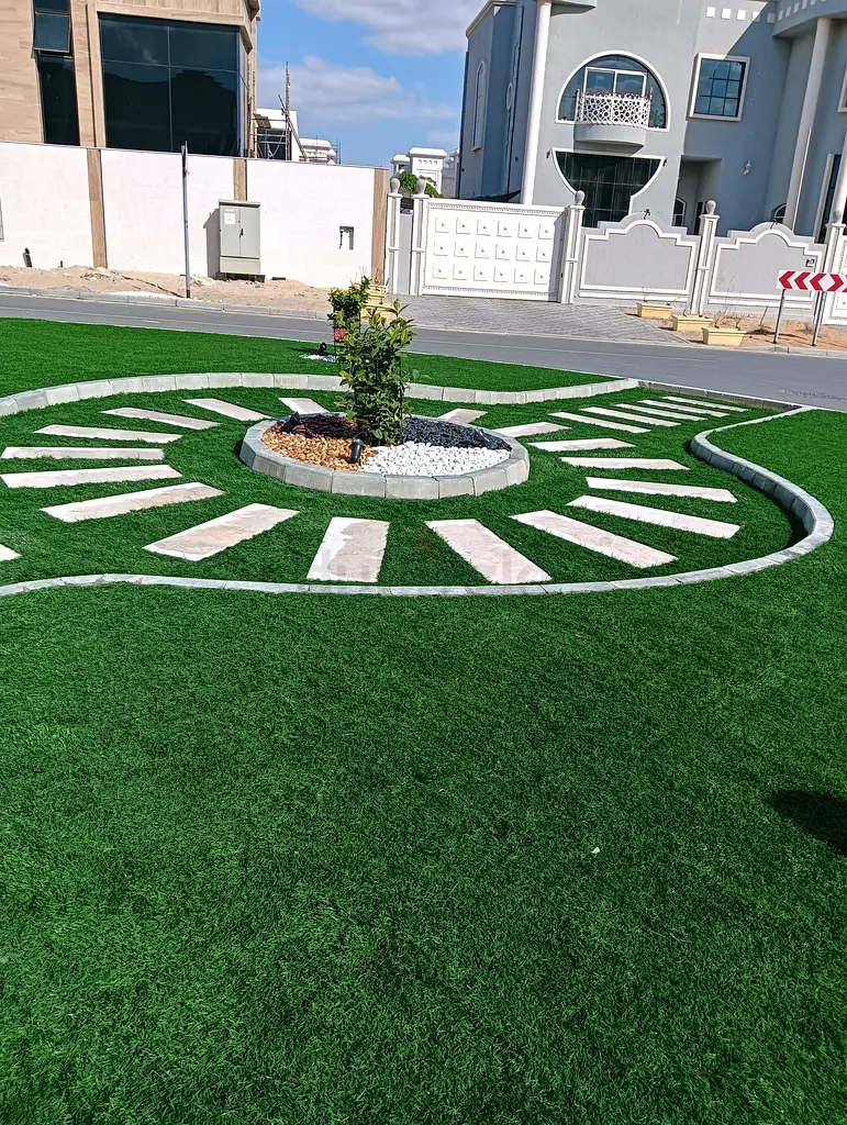 DPV_View_Image_1