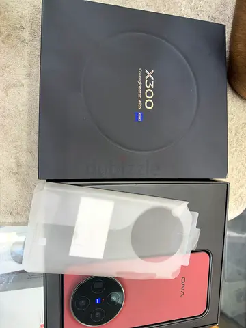 Vivo X300