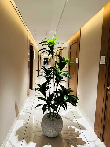 Tall artificial Dracaena plant in decorative pot