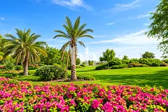 Full Golf Course View | Vacant | Priced to Sell