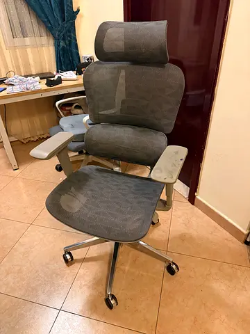 Ergonomic mesh office chair with headrest — good condition