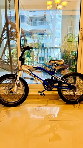 Used 20-inch Kids BMX Style Bicycle - Good Condition