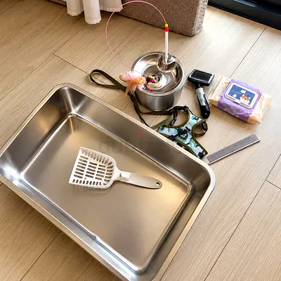 Complete Cat Accessories Bundle – Stainless Steel Litter Tray & Water Fountain