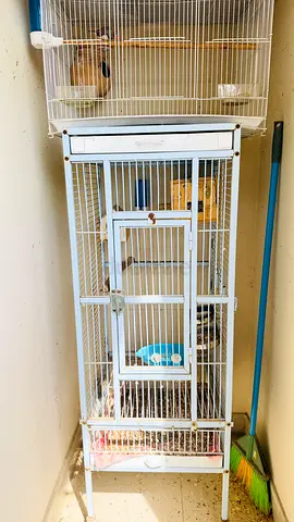 Tall metal bird cage with stand — good used condition