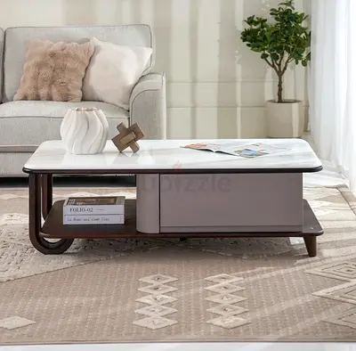Modern low-profile coffee table with storage and marble top