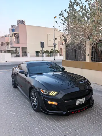 Beautiful Ford Mustang EcoBoost Shelby Kit 2016 American Specs