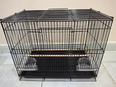 Bird Cage in Black