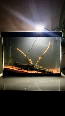 Medium Sized Hardscape Aquarium