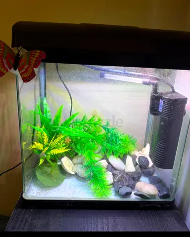 Small used 20L fish aquarium tank with filter, light and decorations