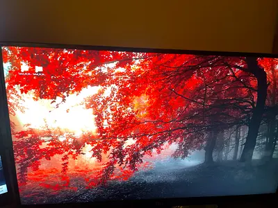 Gaming monitor 120 HZ