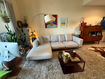 West Elm Newport Feather filled sofa