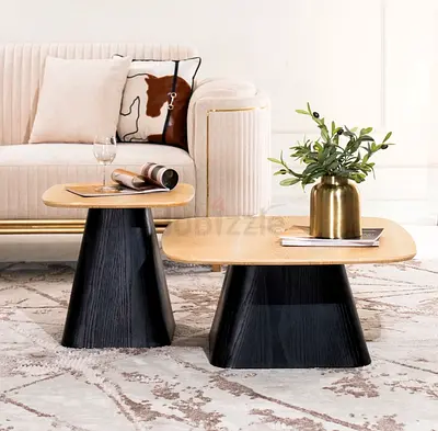 Set of 2 Modern Wooden Coffee Tables with Black Bases