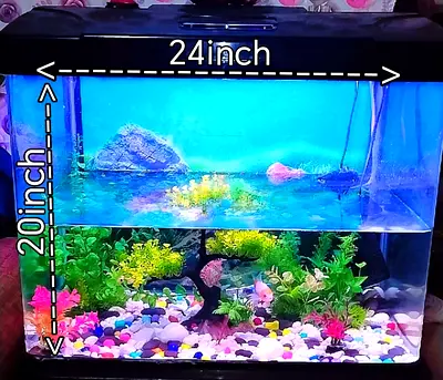 24x20 inch Glass Aquarium Tank with Hood and LED Light - Good Condition and brand new