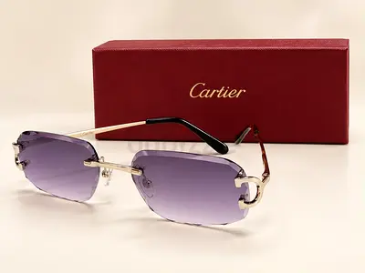 Cartier sunglasses for men