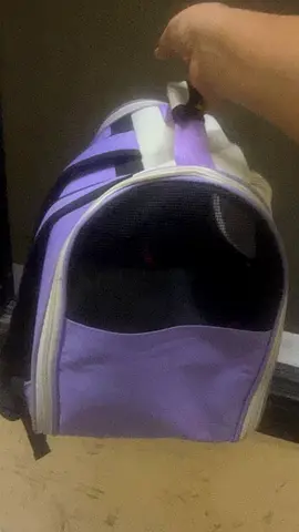 Purple soft-sided pet carrier — good condition