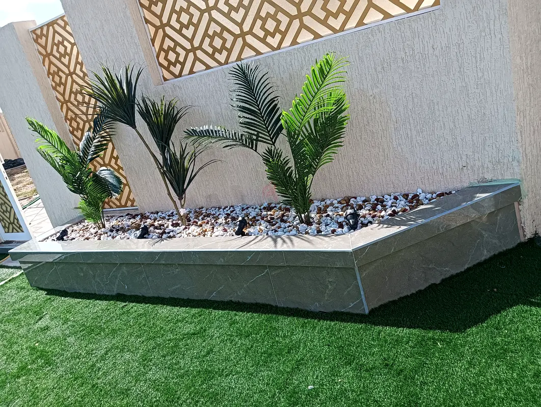 DPV_View_Image_2