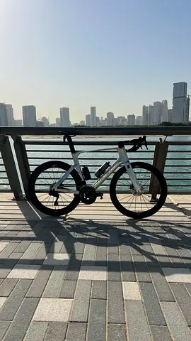 Bross Zenith Plume 7i Ultegra Di2 Carbon Road Bike