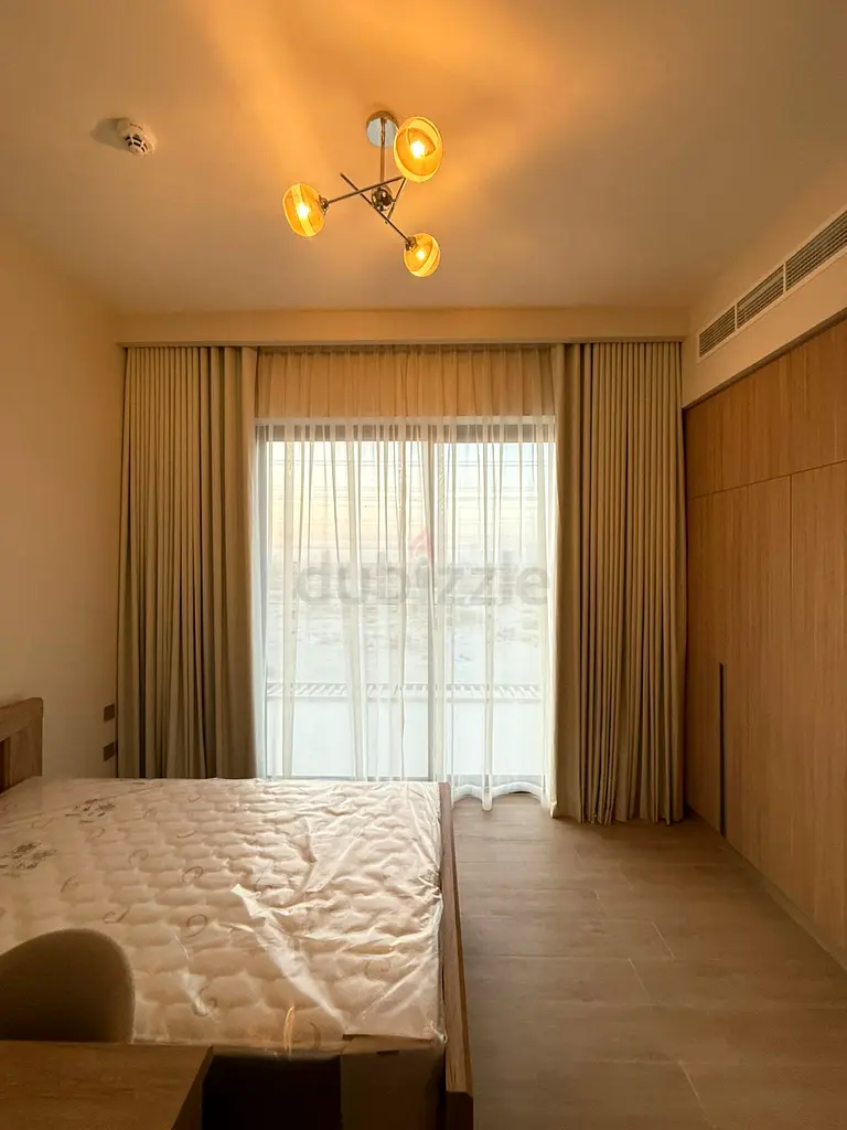 DPV_View_Image_2