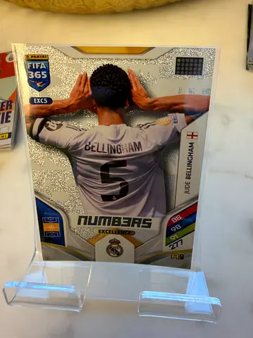 Panini FIFA 365 Sergio Bellingham (Real Madrid) Trading Card - Sealed Display Sleeve