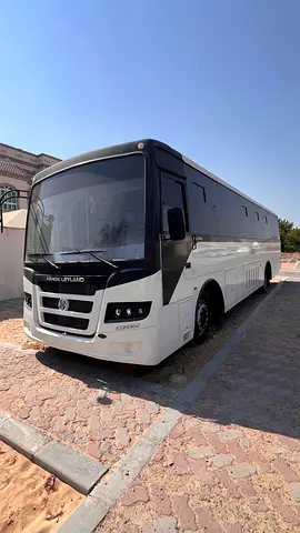 أبوظبي شخبوط