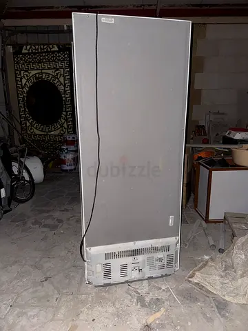 Upright double-door refrigerator/freezer - used, good for spare storage