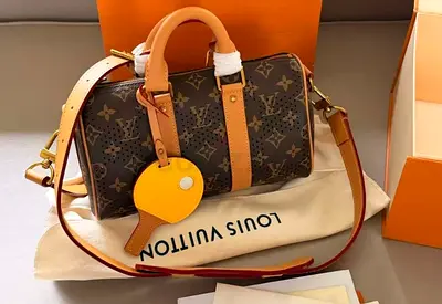 Lv side bag
