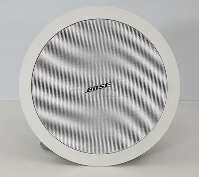 Bose FreeSpace DS 40F loudspeaker