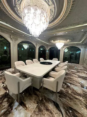 Modern  dining room set with 10 upholstered chairs