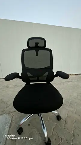 Ergonomic Office Chair