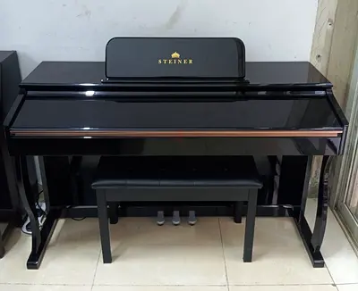 The Steiner DP-1200 is a popular 88-key weighted digital piano designed for both beginners and home