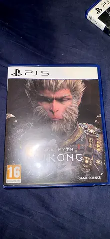 Black myth wukong
