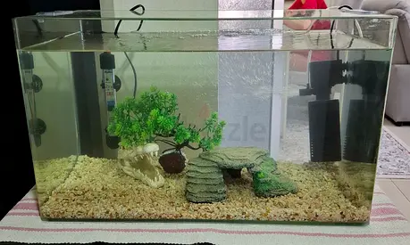 Glass Aquarium Tank with Filter, Heater and Decorations - 50cm