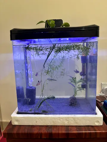 URGENT: Aquarium Tank for Sale – Complete Setup