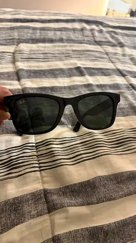 Ray-Ban Meta Wayfarer Smart Glasses + Charging Case