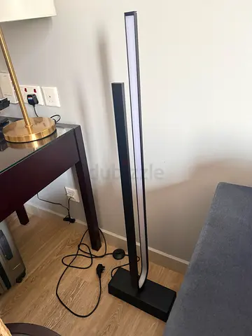 2 Elegant Floor Lamps