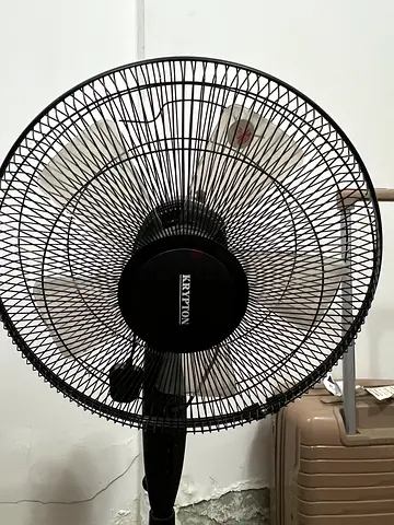 Fan