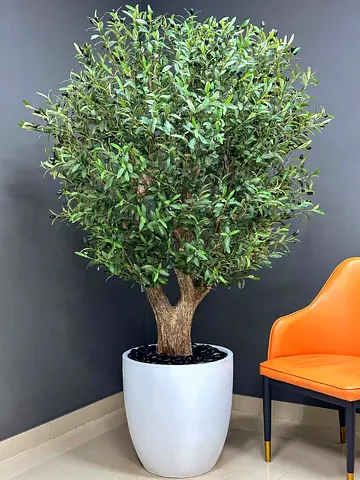 Stunning Olive Tree with Realistic Olives 195 cm – Artificial