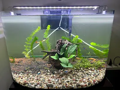 Big Aquarium Tank with Lights, Filter and Oxygen Pump, Soil Ready for Aquascaping